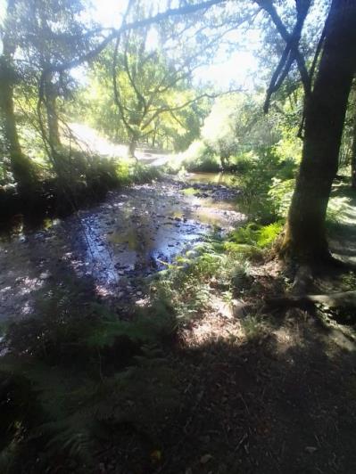 Image No.37-1 Bed Village House for sale