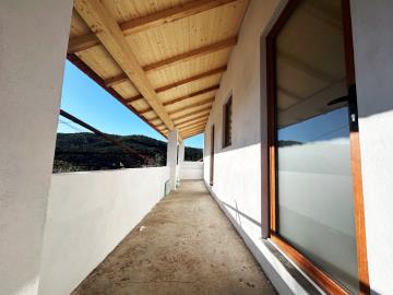 8---1179--NEW---Medium-