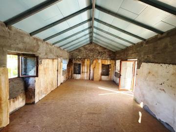 12---1179--NEW---Medium-