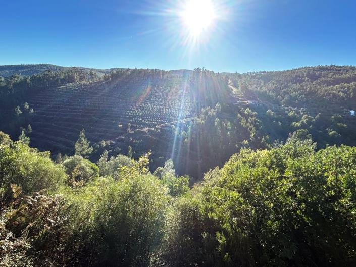 Image No.26-Village House for sale