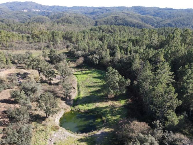 Image No.7-4 Bed Farmhouse for sale