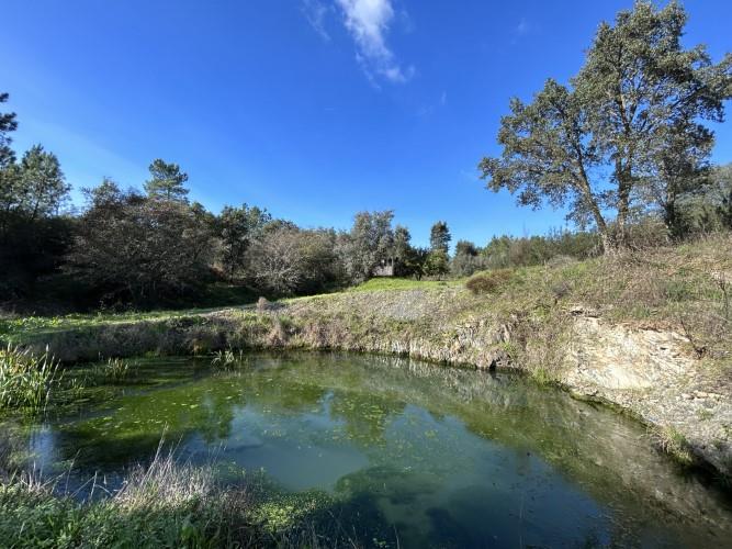 Image No.9-4 Bed Farmhouse for sale