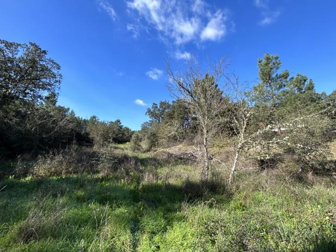 Image No.40-4 Bed Farmhouse for sale
