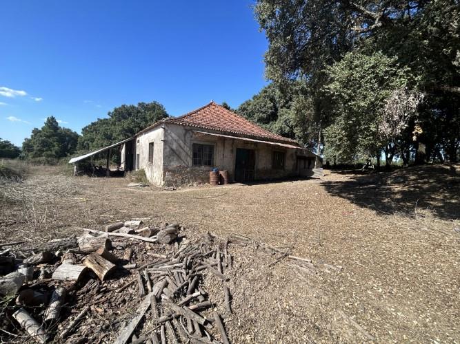 Image No.8-Property for sale