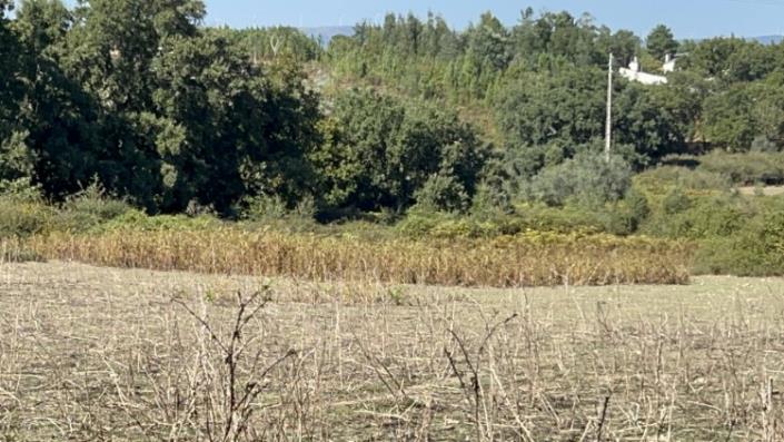 Image No.23-Property for sale