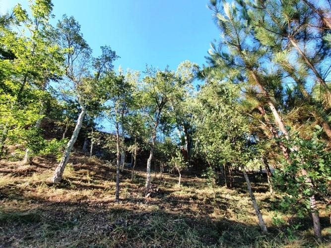 Image No.4-Land for sale