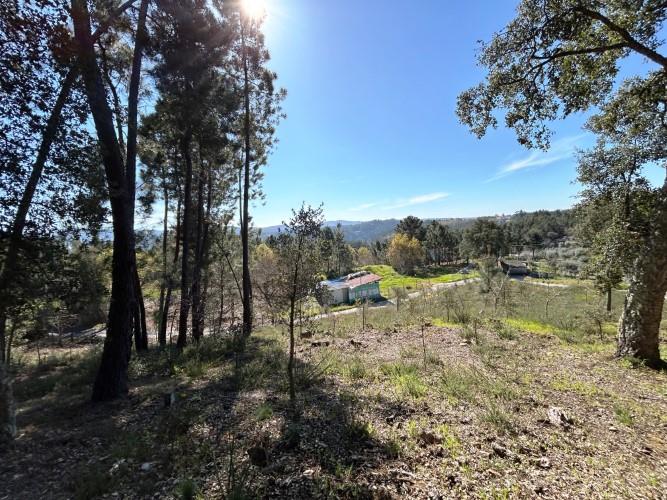 Image No.6-Land for sale