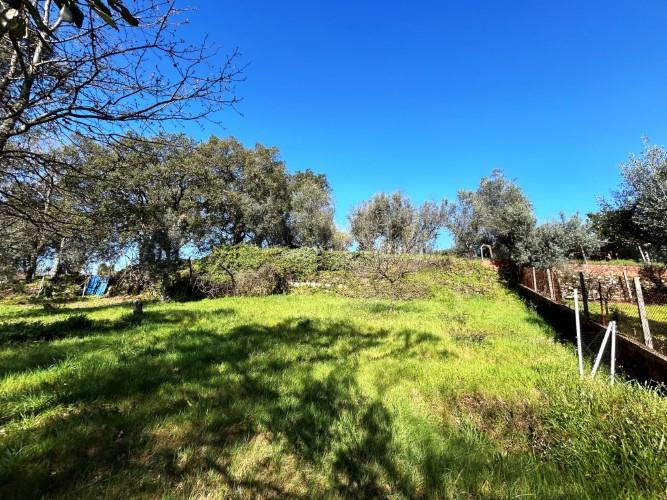 Image No.10-Land for sale