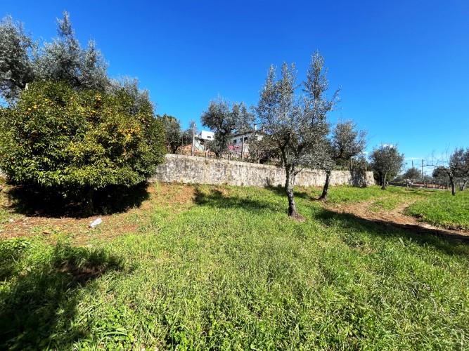 Image No.11-Land for sale