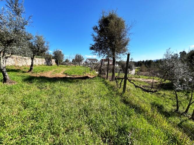 Image No.12-Land for sale