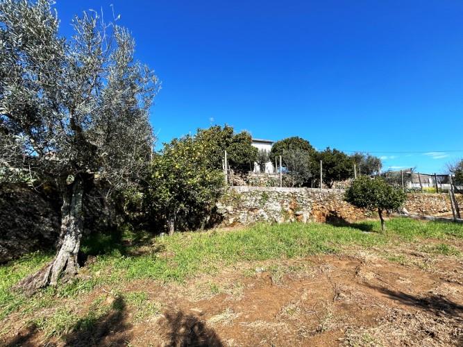 Image No.13-Land for sale