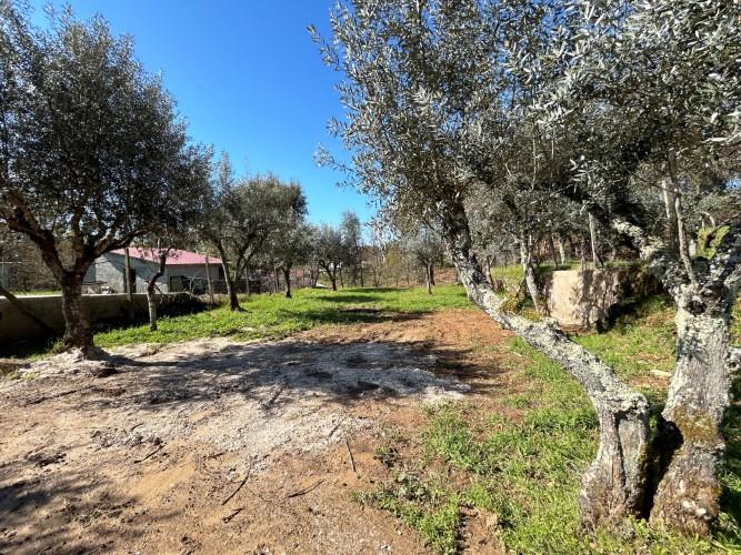 Image No.15-Land for sale