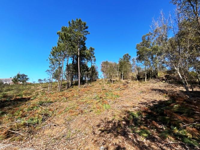 Image No.16-Land for sale