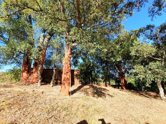 Image No.21-Land for sale