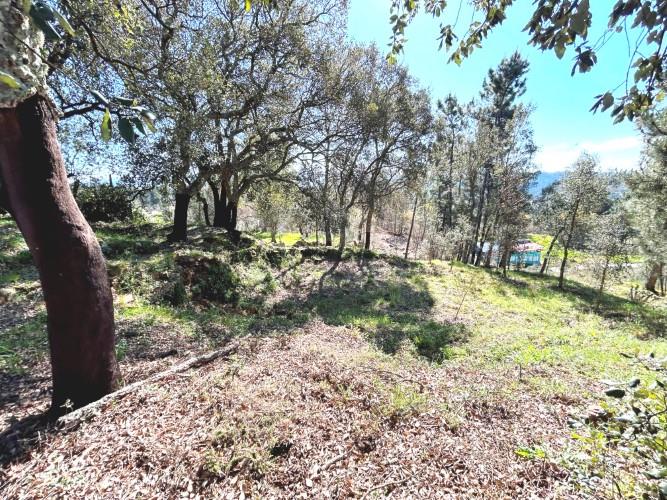 Image No.24-Land for sale