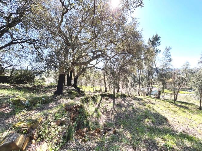 Image No.25-Land for sale