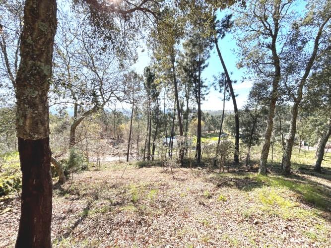 Image No.27-Land for sale