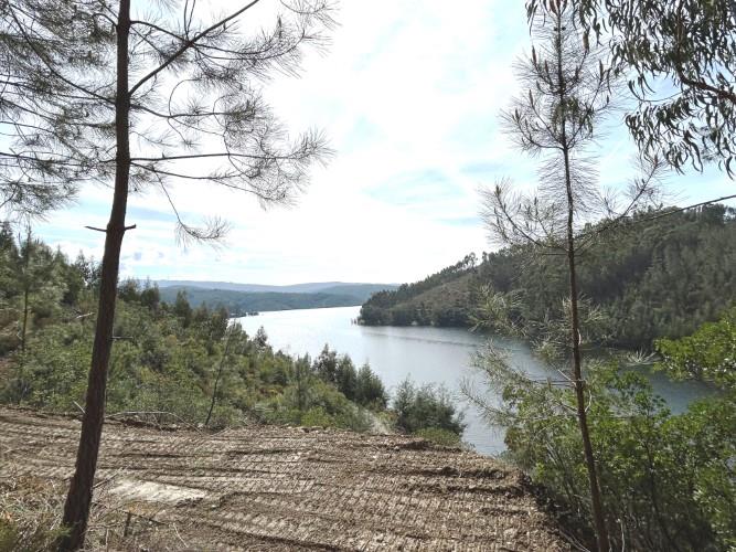 Image No.7-Land for sale