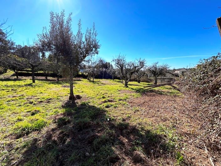 Image No.31-4 Bed Country House for sale