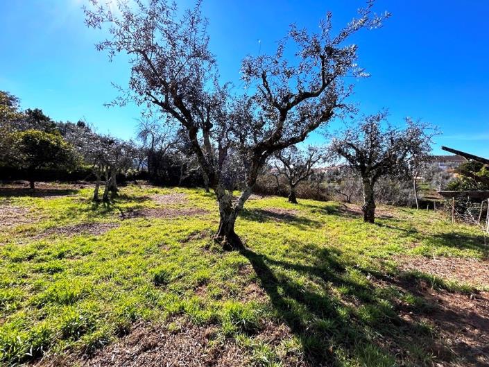 Image No.33-4 Bed Country House for sale