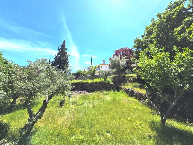 Image No.37-3 Bed House for sale