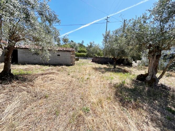 Image No.35-3 Bed Village House for sale