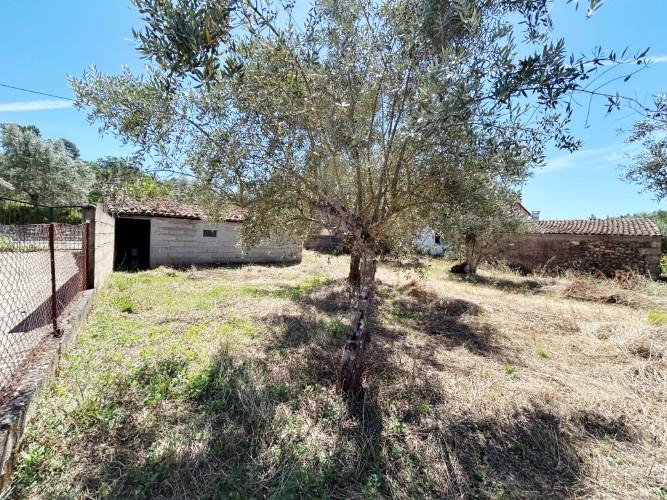 Image No.38-3 Bed Village House for sale