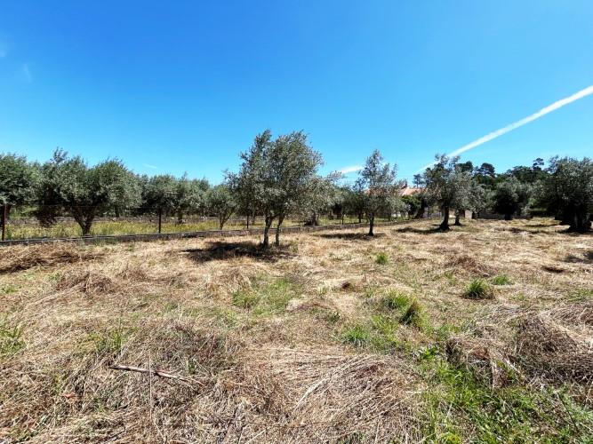 Image No.40-3 Bed Village House for sale