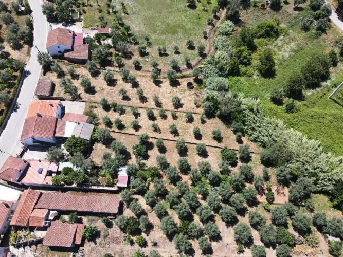 Image No.47-3 Bed Village House for sale