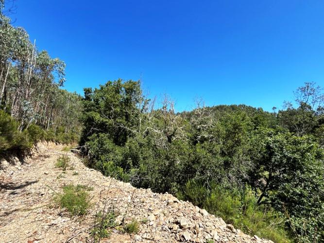 Image No.5-Land for sale