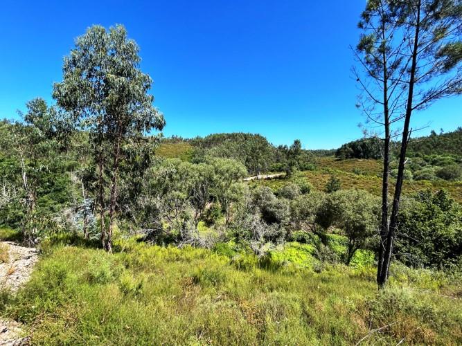 Image No.4-Land for sale