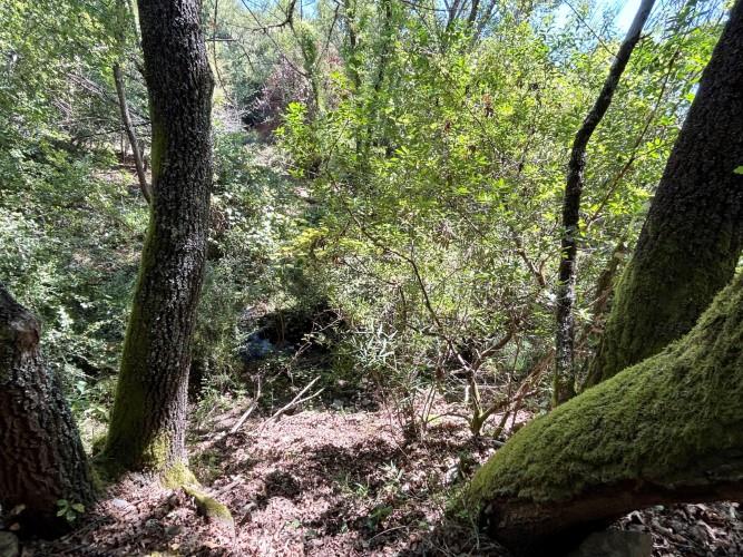 Image No.7-Land for sale