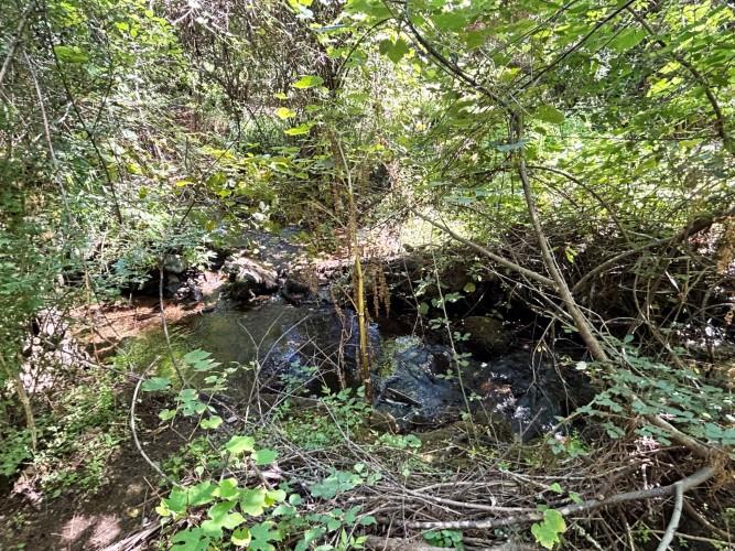 Image No.8-Land for sale