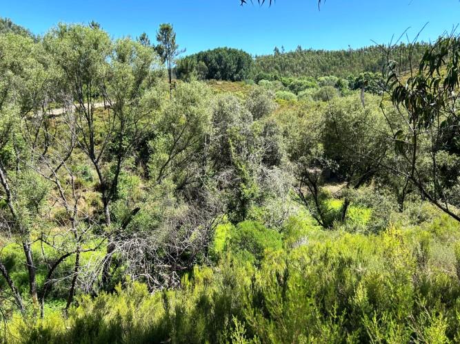 Image No.13-Land for sale