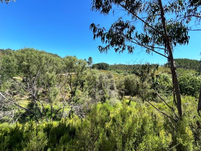 Image No.15-Land for sale