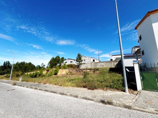 Image No.4-Terre à vendre à Cernache do Bonjardim