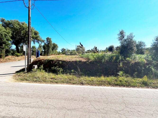 Image No.3-Land for sale