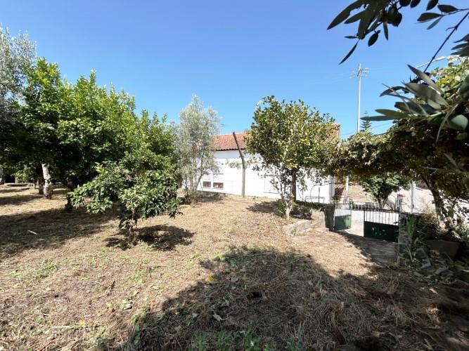 Image No.4-Land for sale