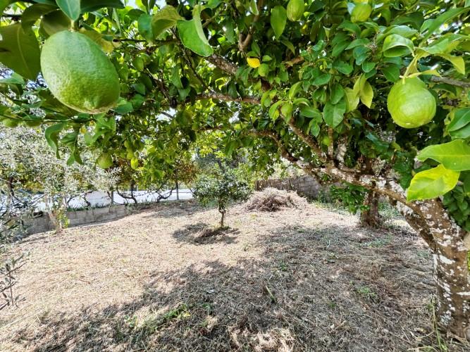 Image No.6-Land for sale