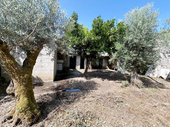 Image No.8-Land for sale