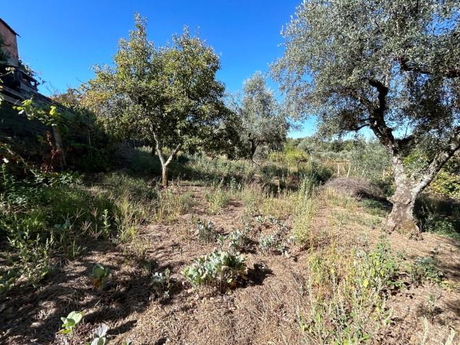 Image No.20-1 Bed Village House for sale