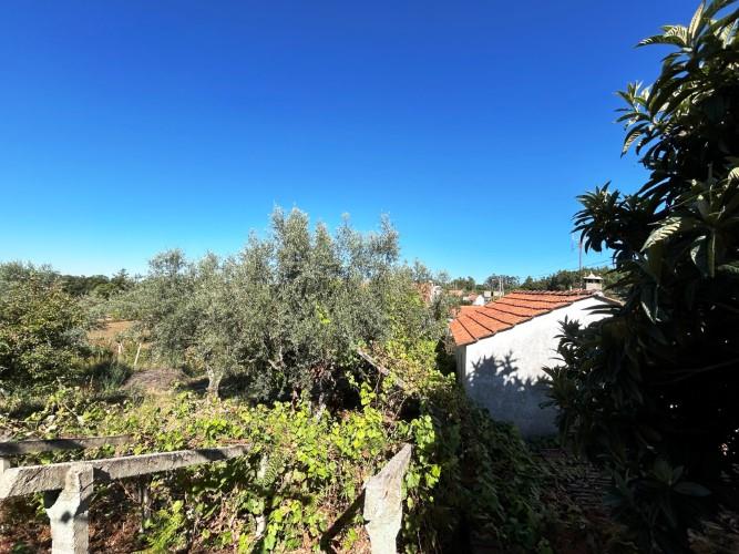 Image No.25-1 Bed Village House for sale