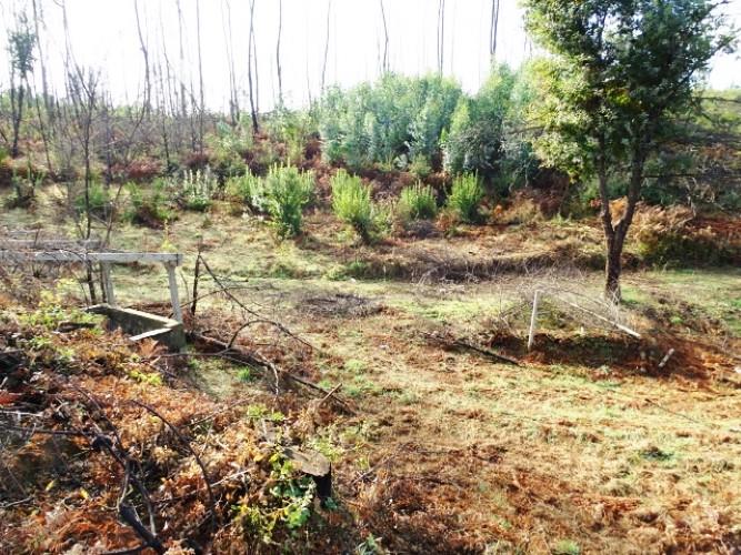 Image No.3-Land for sale