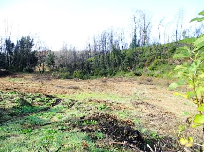 Image No.6-Land for sale