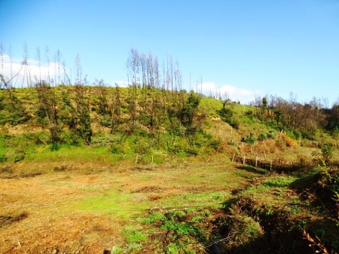 Image No.9-Land for sale