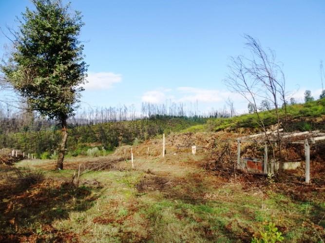 Image No.12-Land for sale