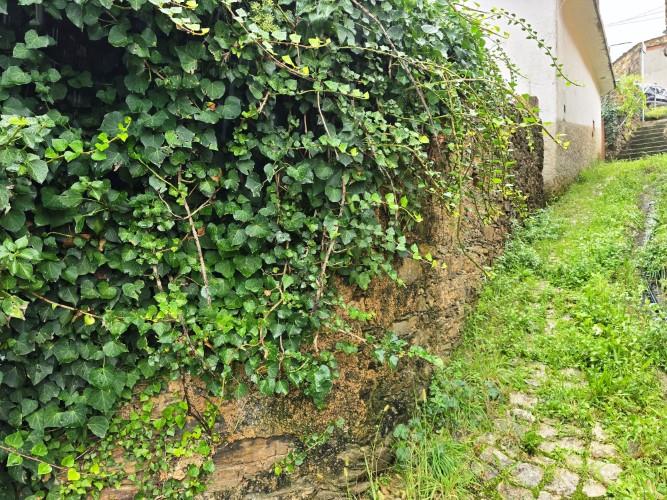 Image No.7-2 Bed Village House for sale