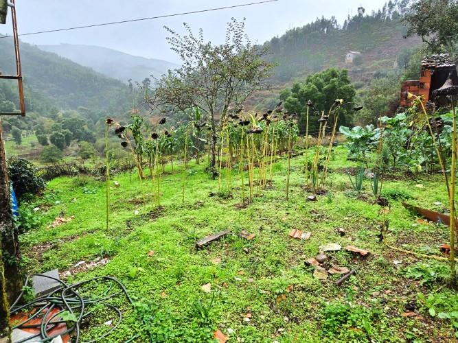 Image No.10-2 Bed Village House for sale