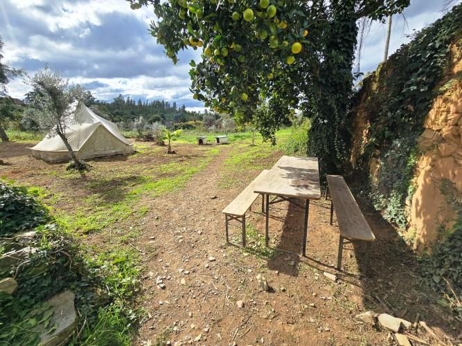 Image No.2-Farmhouse for sale