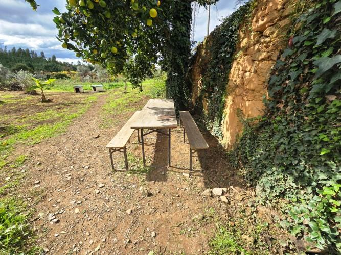 Image No.3-Farmhouse for sale